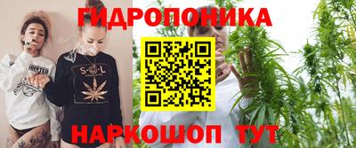 дурь Новодвинск