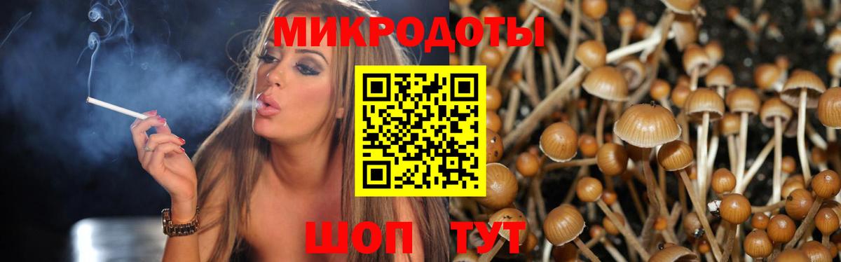 Тверь  Псилоцибиновые грибы Cubensis  Вход с VPN  Галлюциногенные грибы ЛСД 